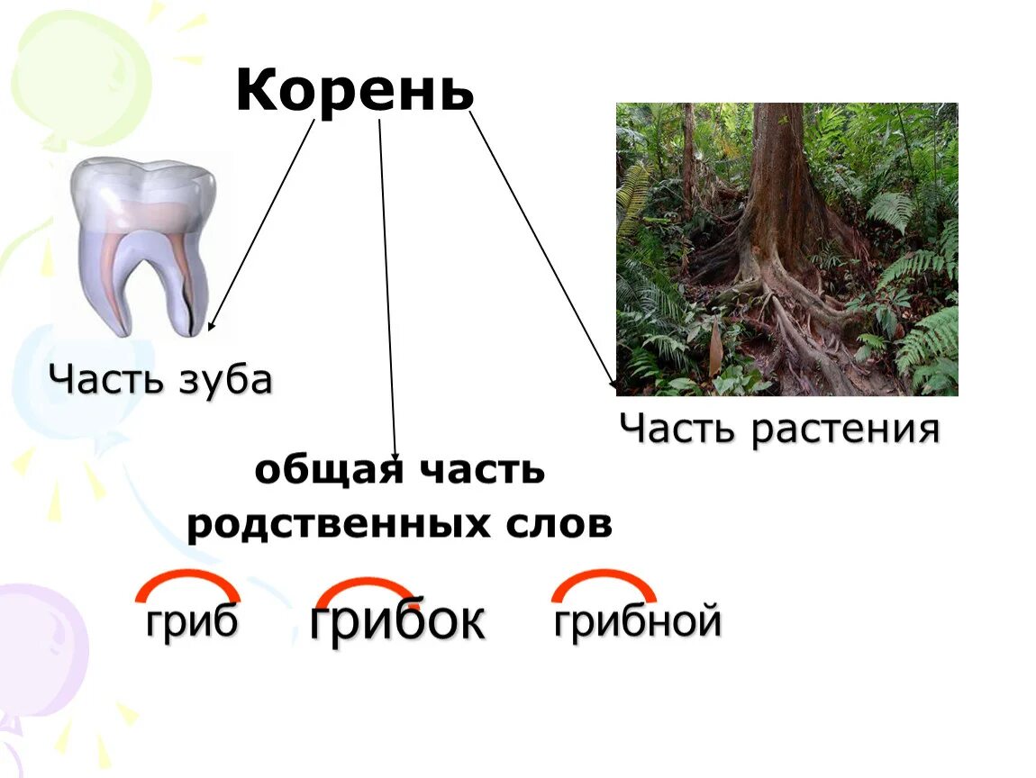 Корень слова. Корень общая часть родственных слов. Тема корни русский язык. Корень слова 2 класс. Корень в слове угар