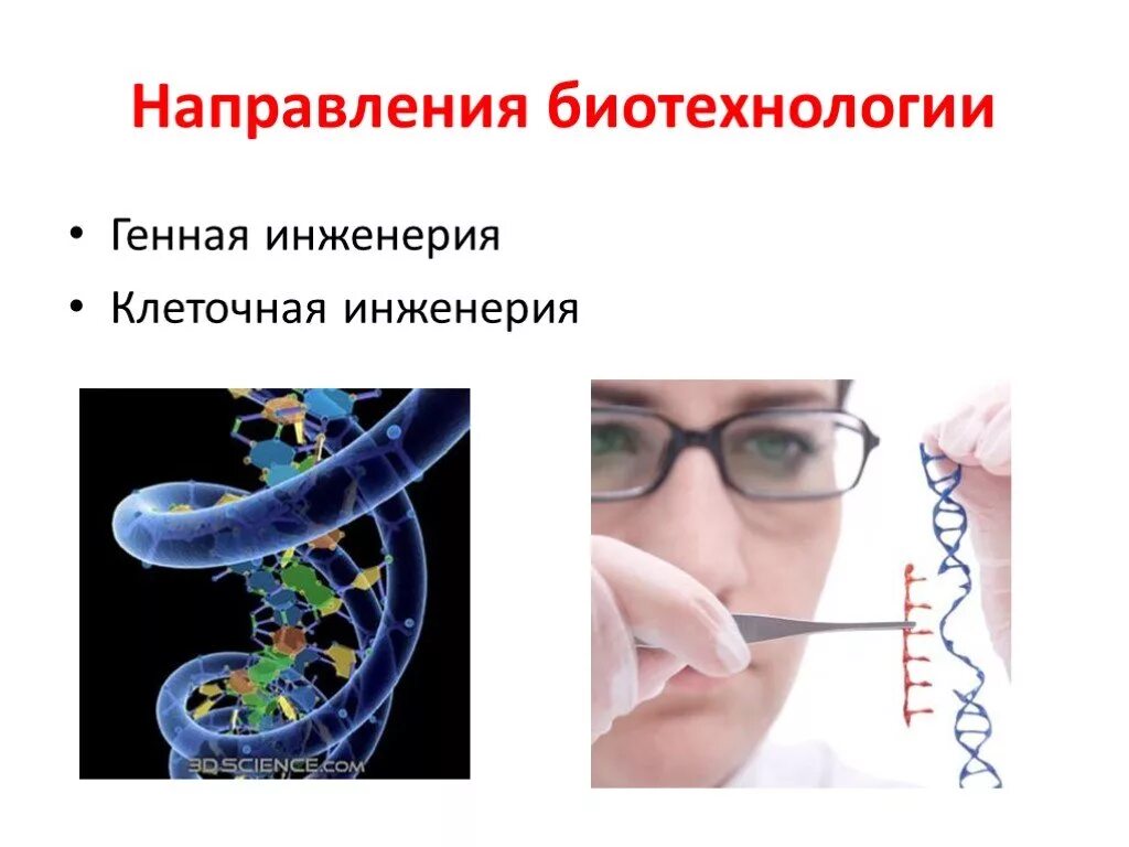 Биотехнология клеточная и генная. Биотехнология. Генная инженерия. Генетическая и клеточная инженерия. Генная инженерия и клеточная инженерия.