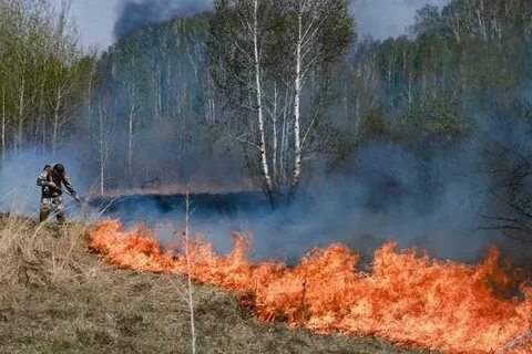 Дальний огонь
