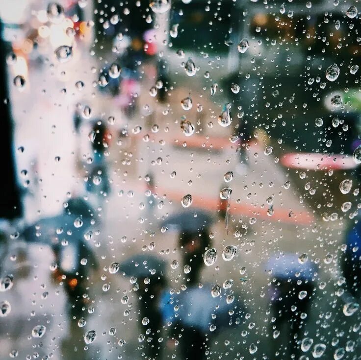 Дождь картинки. Дождь дождь. Дождь 300. Картинки дождь за окном прикольные.
