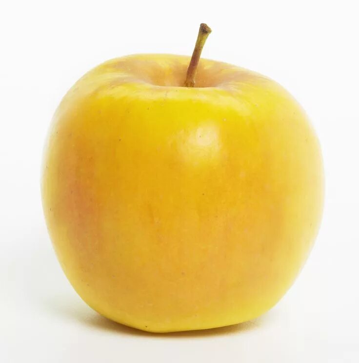 That s an apple