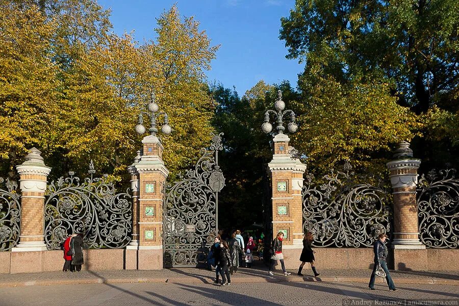 Михайловский парк в Санкт-Петербурге. Михайловский сад Санкт-Петербург. Санкт-Петербург Михайловский сад Михайловский сад. Михайловский сквер Питер.