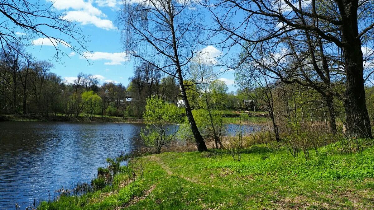 Смоленск весной. Май природа деревня. Обл май. Обл май. Улица в деревне.