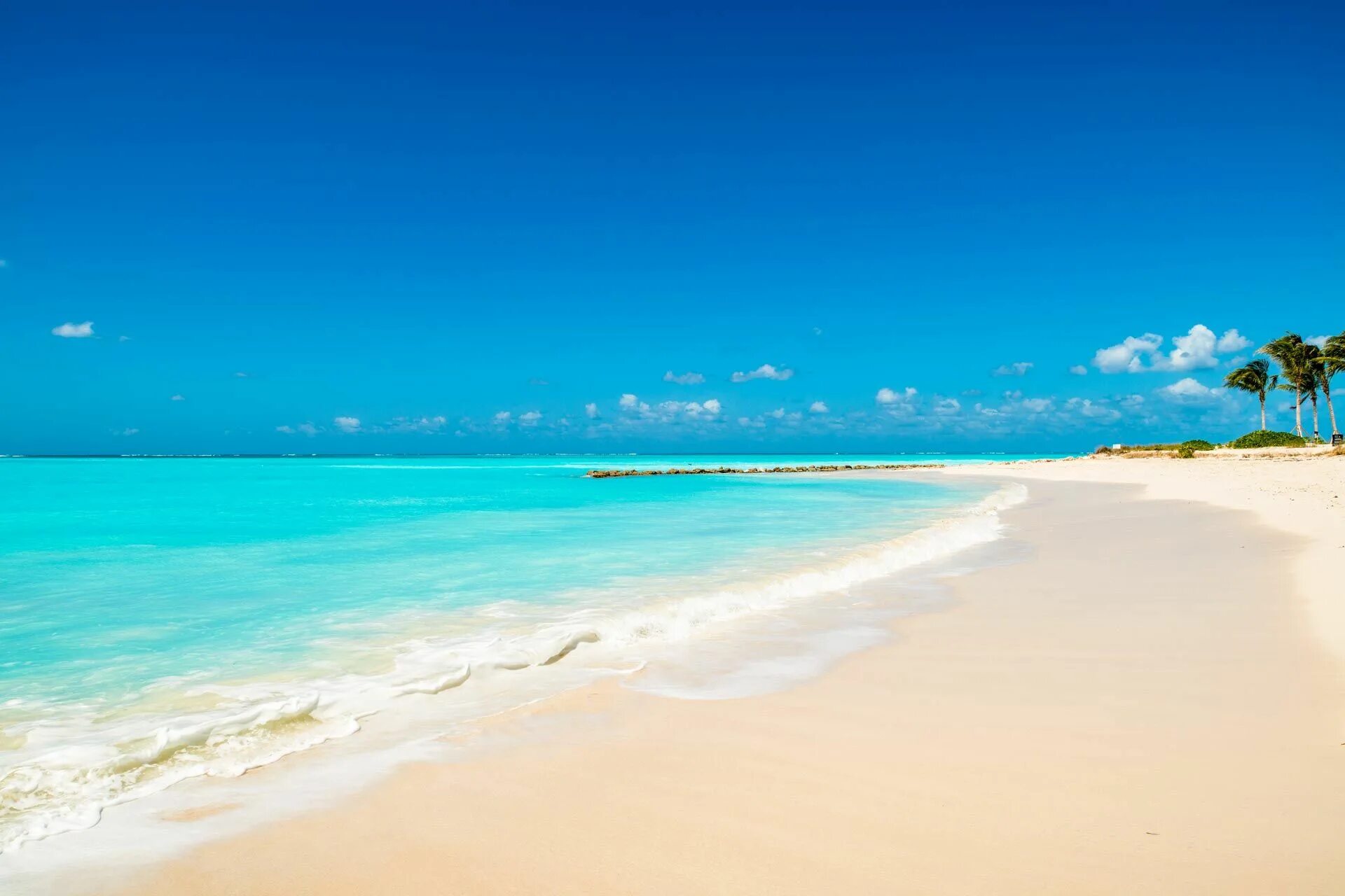 Beach scene