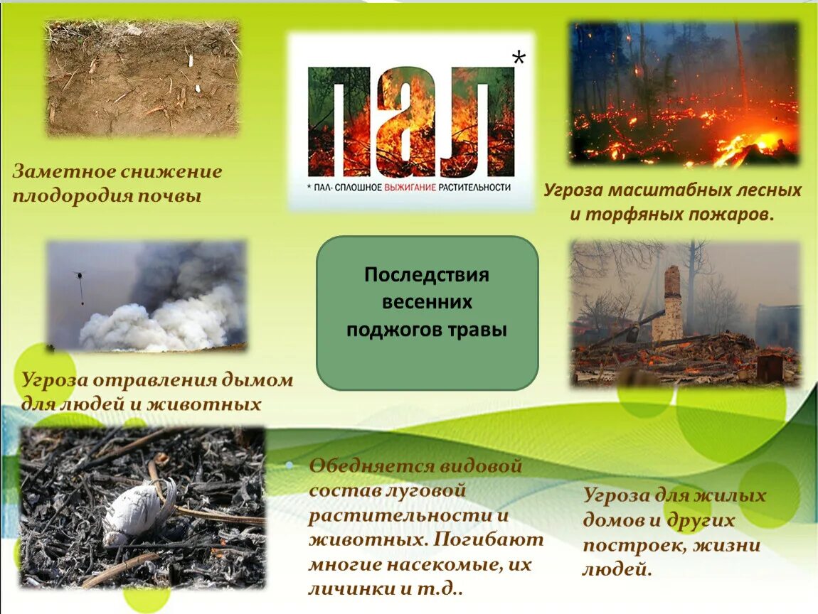 Про пал. Весенний пал травы презентация. презентация весенние палы причина пожаров. нет весенним палам презентация. весенний пал травы презентация для детского сада.