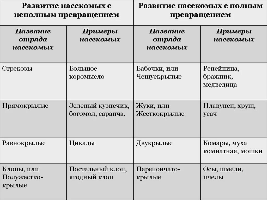 Определение типа развития. Отряды насекомых с полным и неполным превращением таблица. насекомые с полным и неполным превращением таблица. типы развития насекомых с полным и неполным превращением отряды. с полным и неполным превращением таблица.