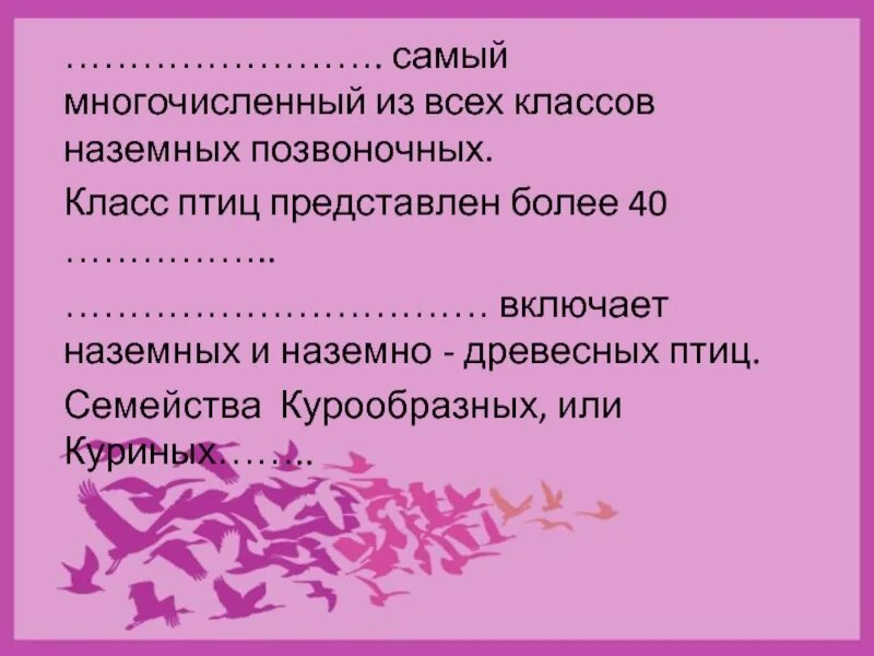 Самым многочисленным классом животных являются. Самый многочисленный класс. Почему птицы самый многочисленный класс наземных позвоночных. Самый многочисленный класс животных. Самый многочисленный отряд птиц.