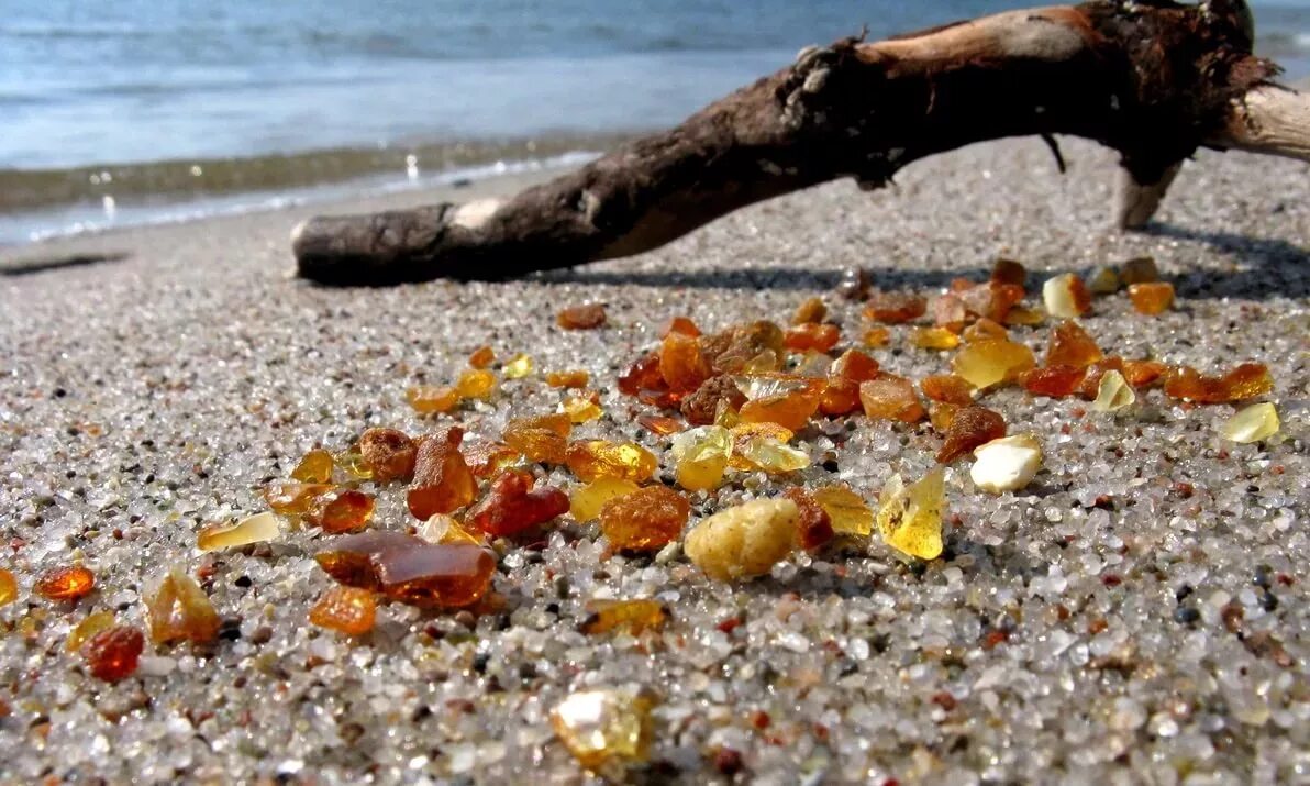 Балтийского моря янтарь янтаря. Янтарный берег калининград. Калининград балтийское море янтарь. Балтийское море янтарь. Янтарь на пляже калининграда.