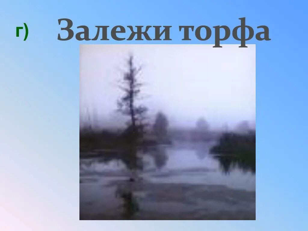 Блудово болото впр 5 класс. Блудово болото кладовая солнца. Блудово болото рисунок кладовая солнца. Блудово болото карта. Блудово болото рисунок.