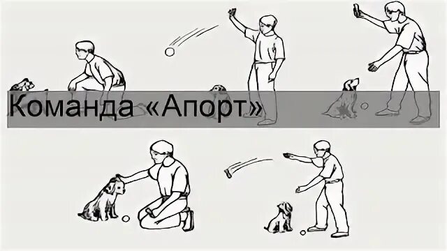 Команда умри
