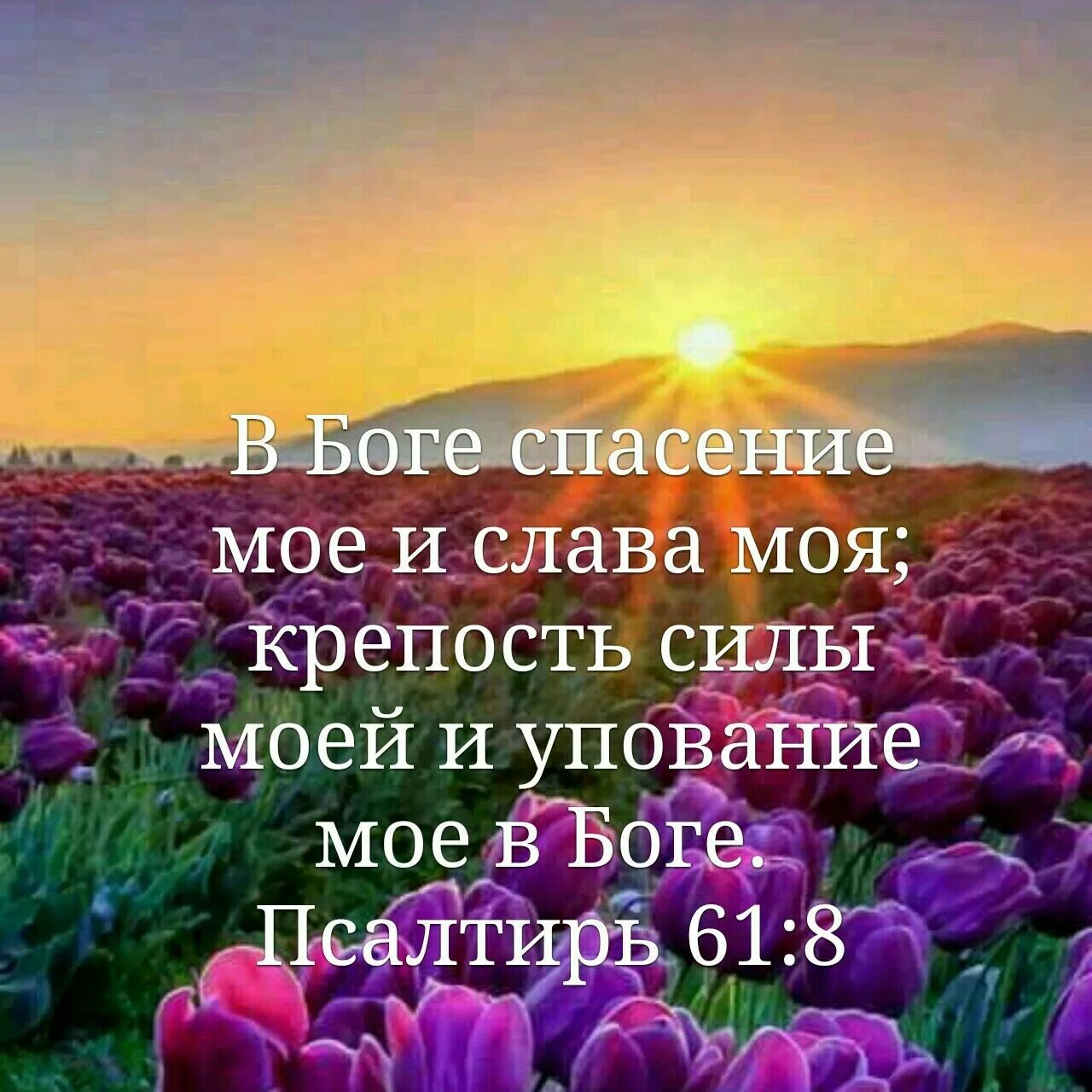 Картинка с божьим днем