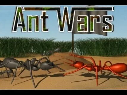 4 ants