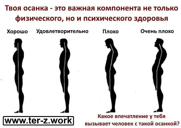 Как влияет осанка. Правильная осанка. человек с идеальной осанкой. ровная спина. осанка влияние на организм.