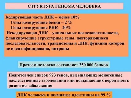Геном человека кодирует