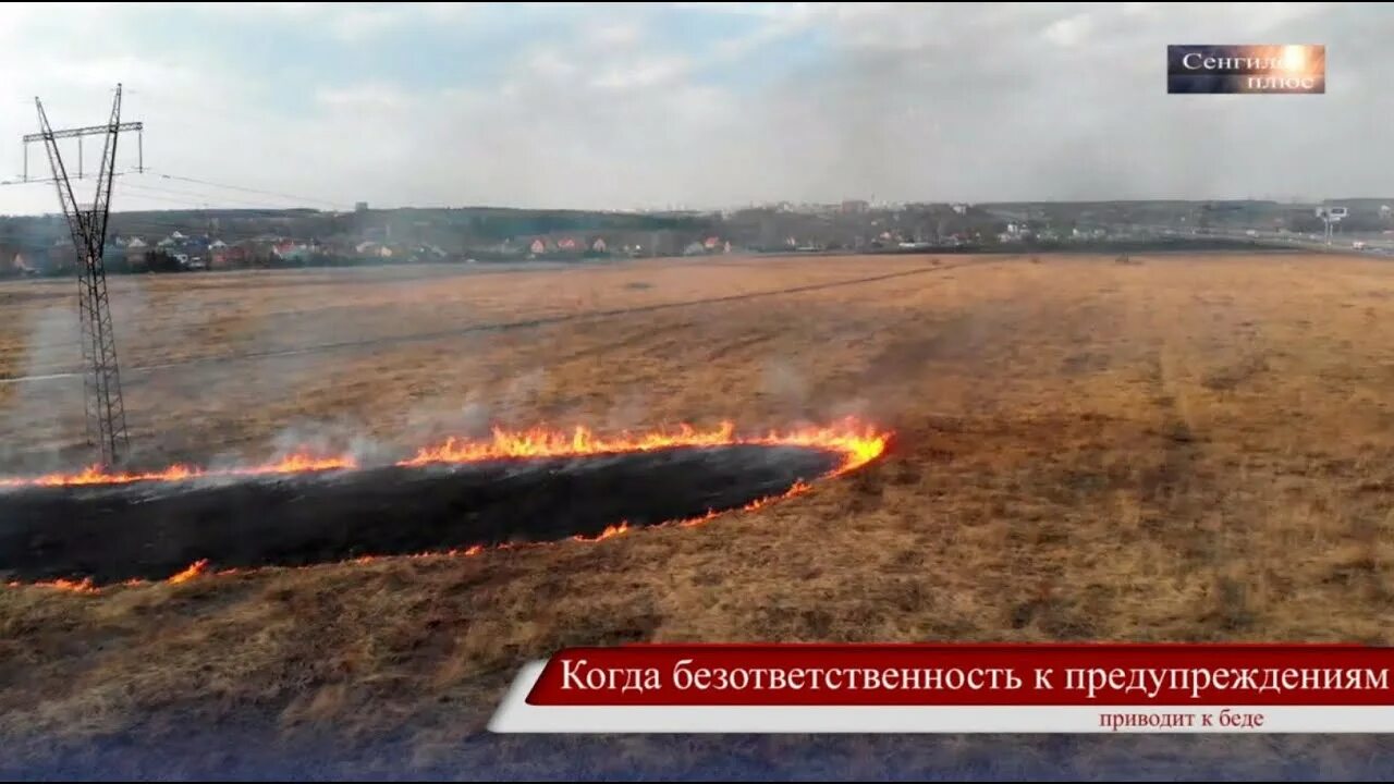 Чуть не привела к беде. Гиф безответственность людей причина лесного пожара. Гиф безответственность людей причина пожара.