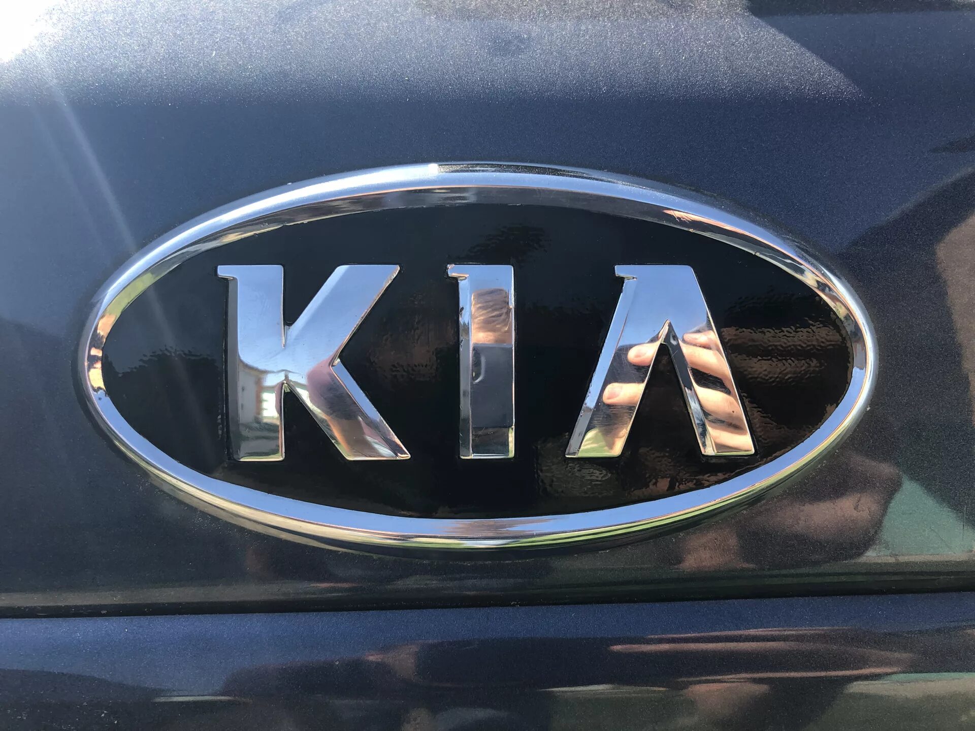 Hyundai Kia logo. Kia значок. Значок Хендай Киа. Накладка на эмблему Киа. Значки киа сид