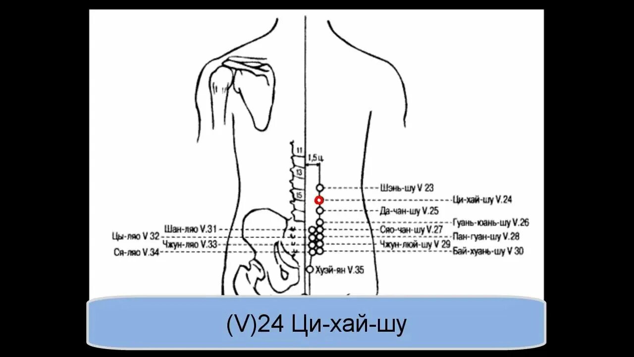 V23 Шэнь-Шу-. V25 да-Чан-Шу. Точка v23 Шэнь-Шу. Акупунктурные точки Шэнь-Шу.