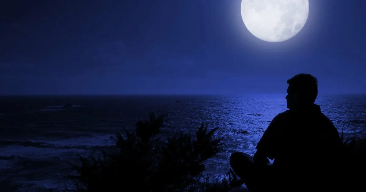 Луна. Одиночество в ночи. Лунная ночь. Луна одиночество. Сделай лунный свет