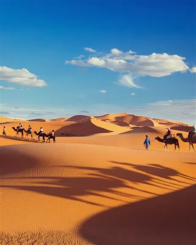 Пустыня. Караван в пустыне. Лето в пустыне. Верблюд в оазисе. Небо караван