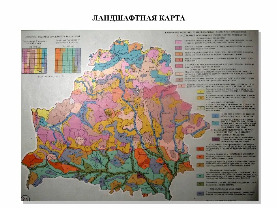 Почвенная карта школьного атласа дает. Ландшафтная карта. Ландшафтная карта области. Почвенно-Ландшафтная карта. Виды ландшафтов на карте.