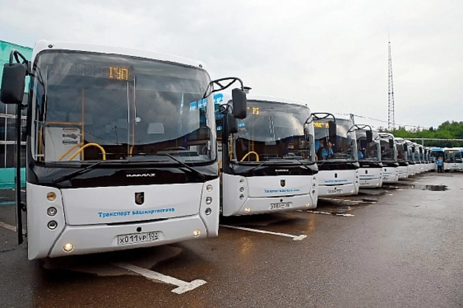 Автостанция уфа северный. Уфа ухта башавтотранс нефаз. Южный автовокзал уфы башавтотранс. Пожар в патп 2022 году. Южный автовокзал уфа.