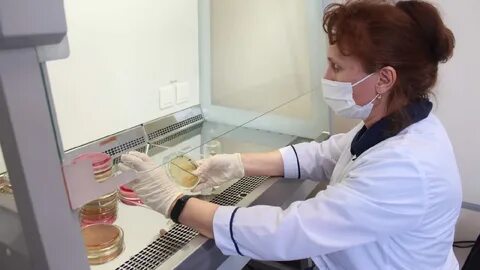 Лаборантам бактериологической лаборатории проводят вакцинацию