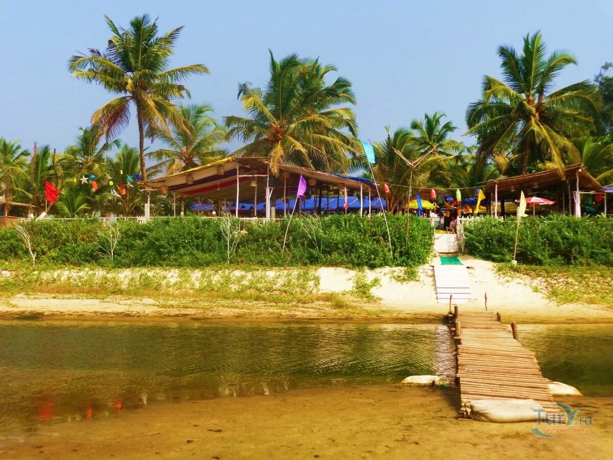 Club mahindra acacia palms 4*. Гоа белая. Северный гоа. Арросим бич гоа. Индия пляж кавелоссим.
