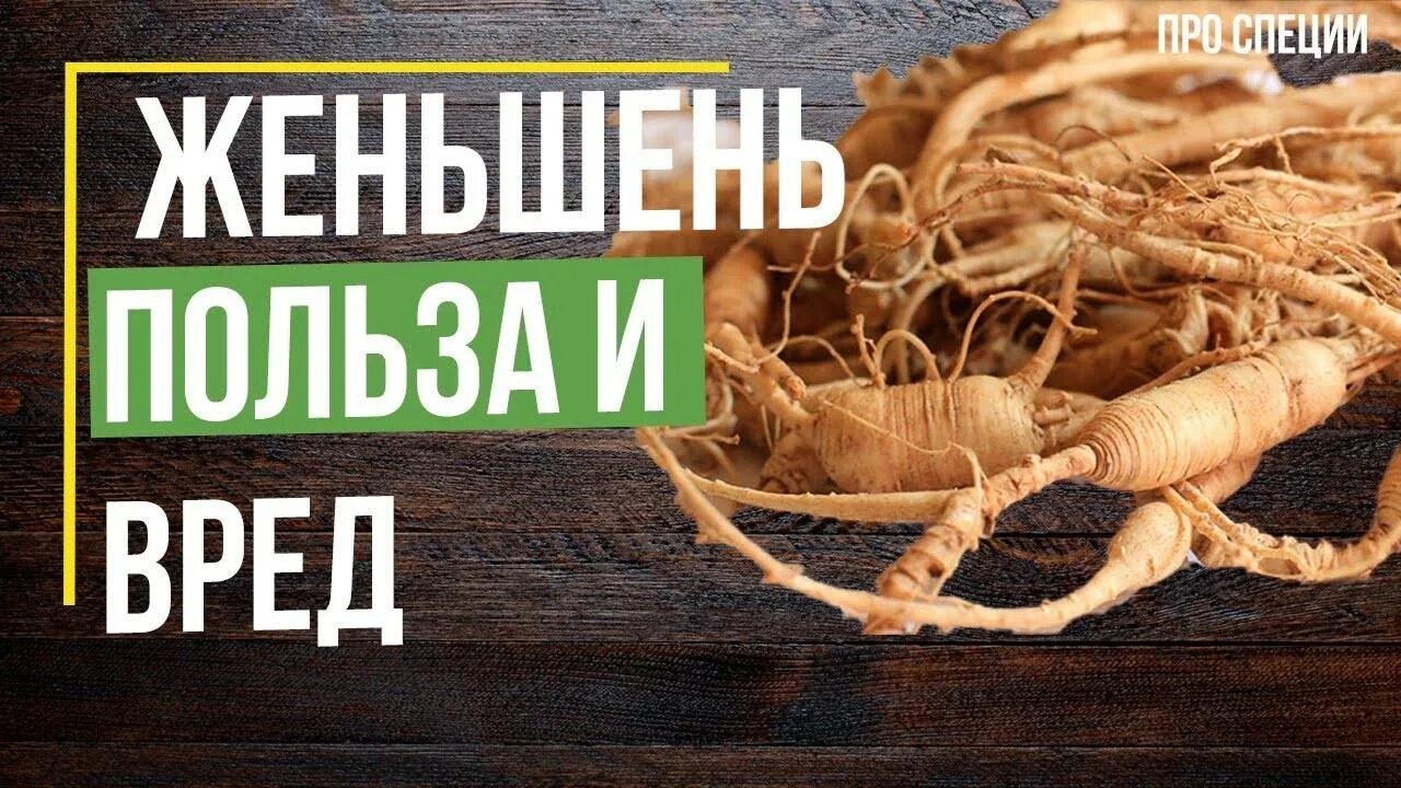 Польза женьшеня для мужчин. Женьшень. Корень женьшеня. Женьшень полезные. Чем полезен женьшень.