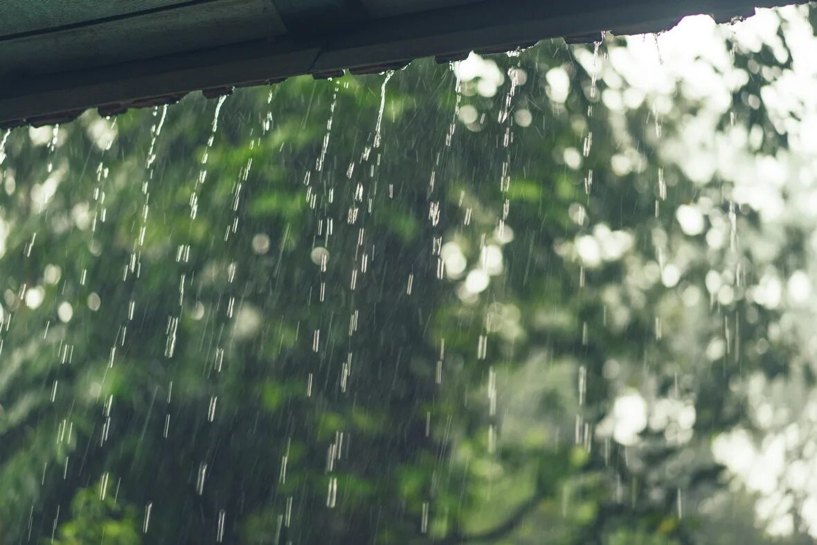 Дожди 1 июня. Дождь за окном. Дождь картинки. Ливень. Лето дождь.
