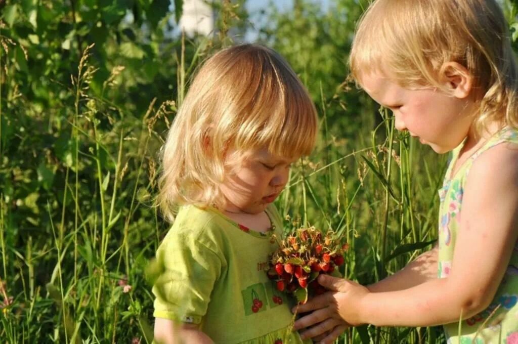 Создавайте и заботьтесь. Дети и природа. Любовь детей к природе. О доброте. Доброта к природе.