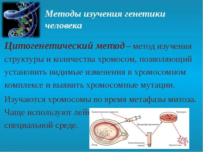 Цитогенетический метод исследования генетики. Цитогенетический метод генетики человека. Методы изучения генетики человека цитогенетический. Методы исследования хромосом.