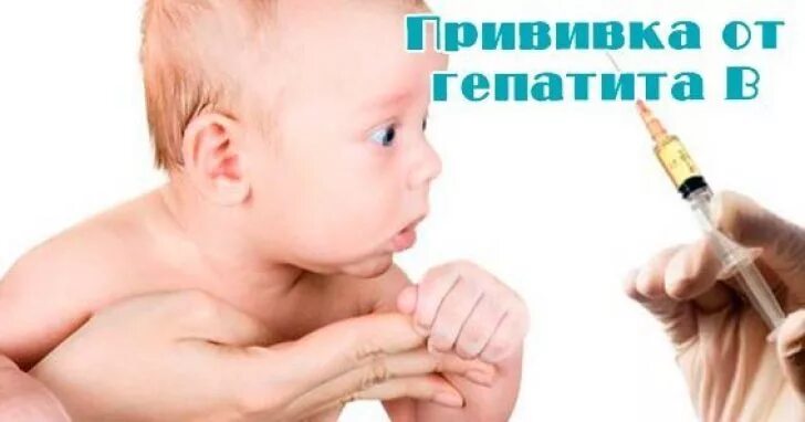 Гепатит а прививка. Прививка от гепатита новорожденным. Национальный календарь прививок новорожденных. Схема вакцинации против вирусного гепатита. Схема вакцинации против гепатита б.