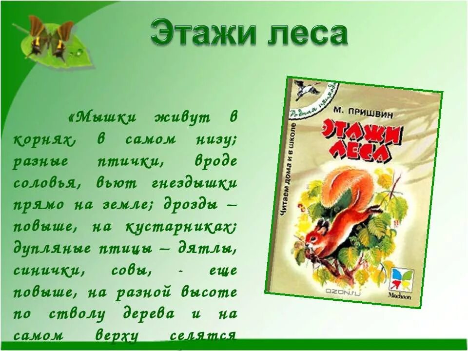 Произведение м. Произведение пришвина этажи леса. Рассказ м пришвин этажи леса. Книга пришвин этажи леса. Рассказ м пришвина этажи леса.