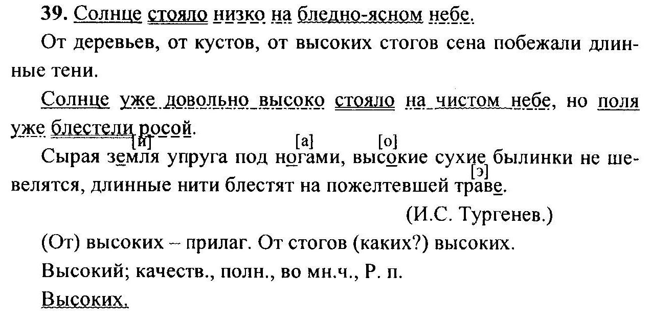 Русский язык 6 класс упражнение 605. Русский язык 6 класс задания. Русский язык 6 класс упражнения. Солнце уже довольно высоко. Солнце уже довольно высоко стояло на чистом небе.