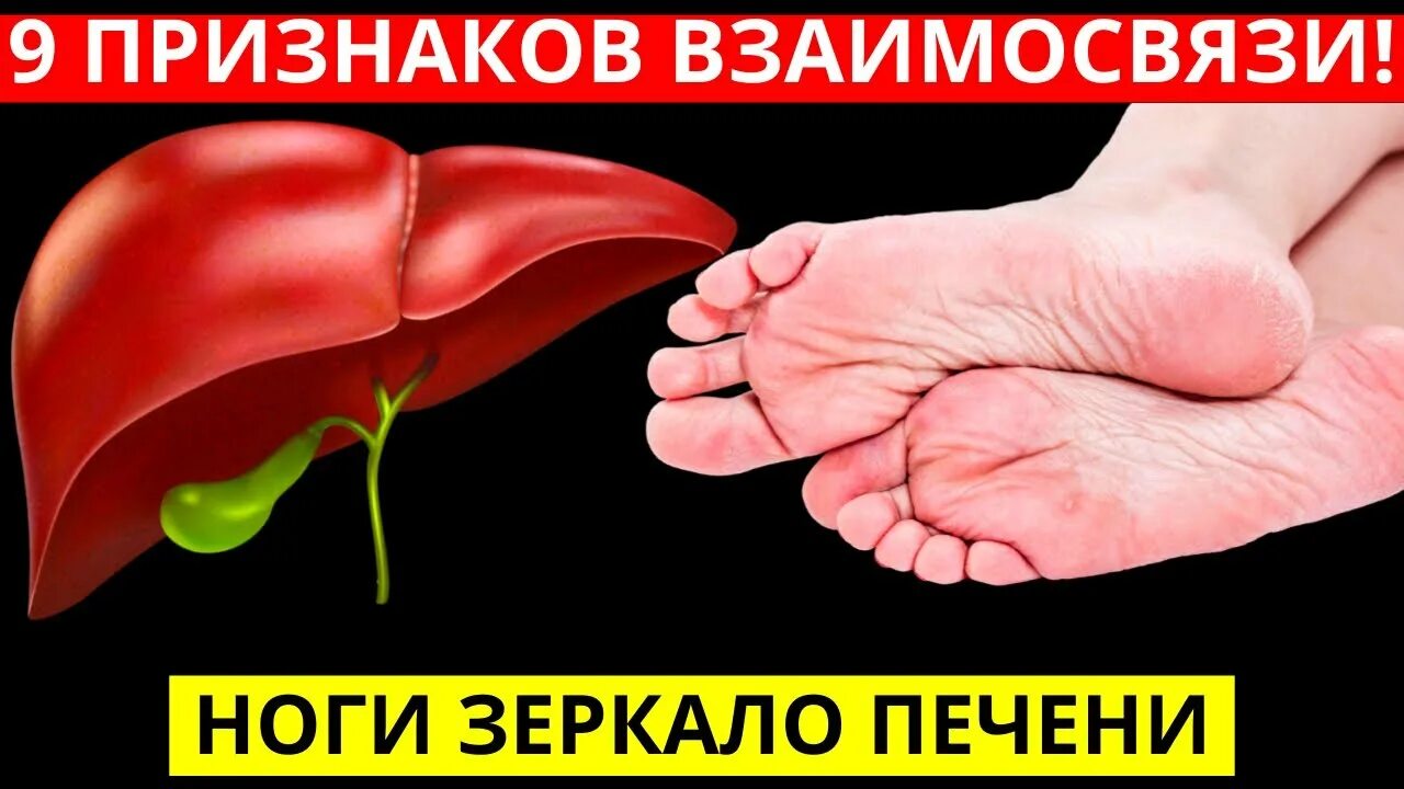 Печень воняет. Печень и ноги взаимосвязь.