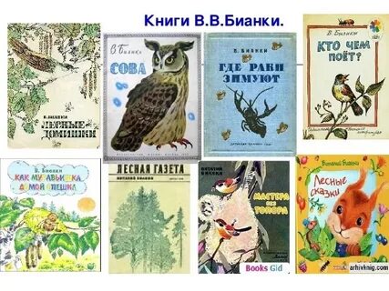 Главные герои произведений бианки