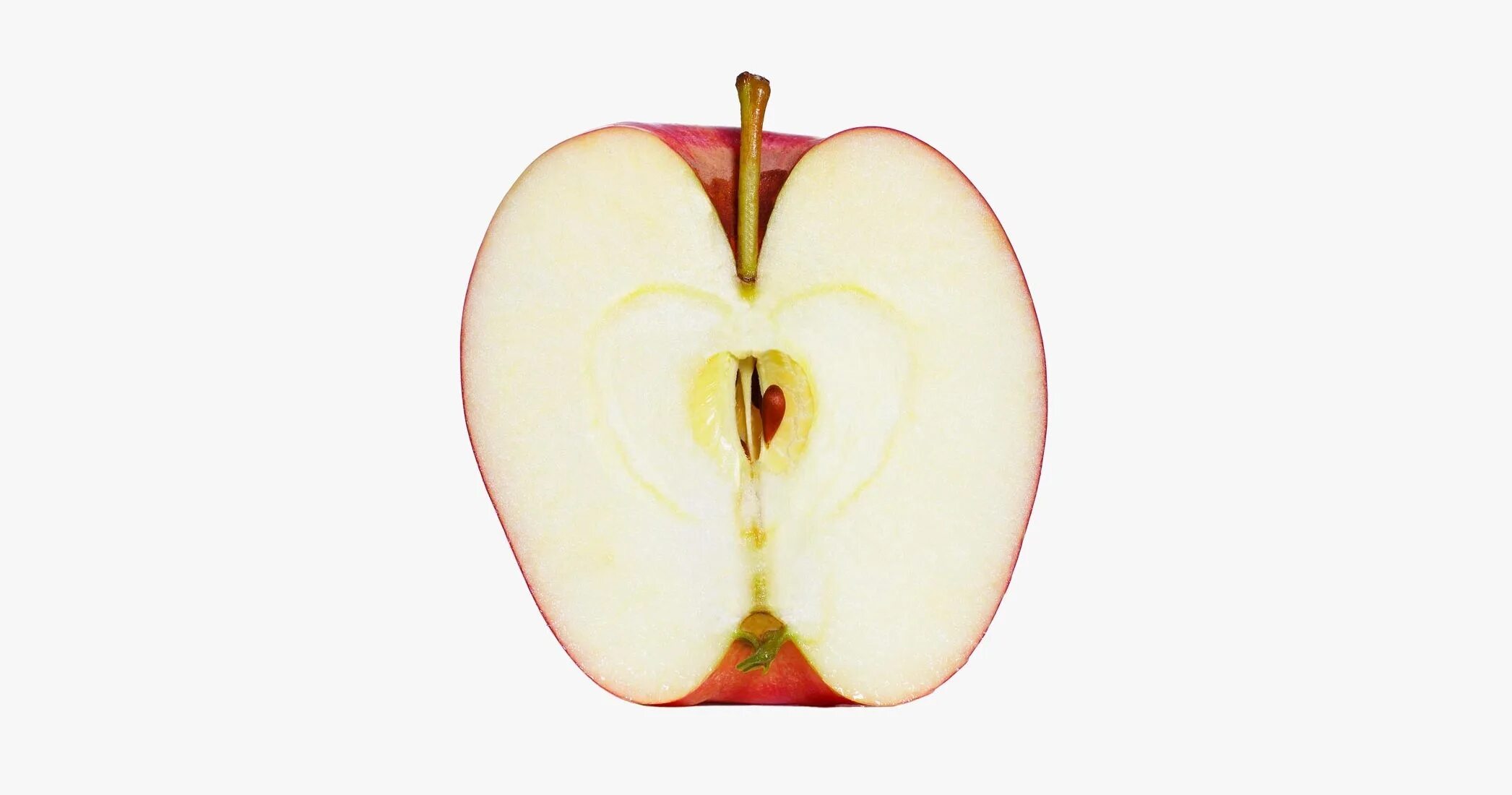 Или кусочек яблока или орешек. Яблоко в разрезе. Красное яблоко в разрезе. Половинка яблока. Срез яблока.