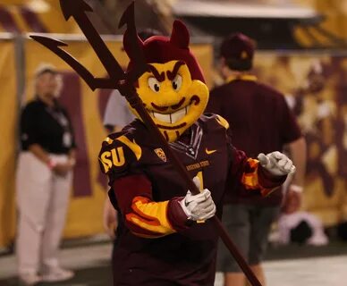 Sun devil