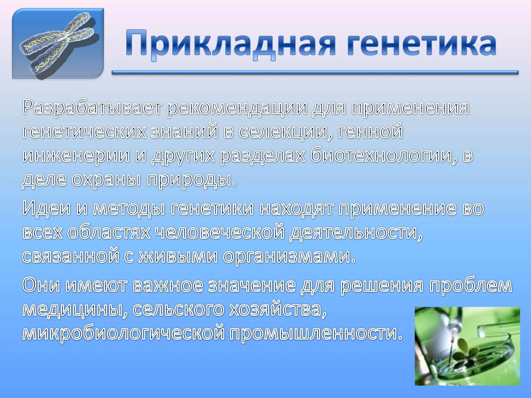 Применения методов генетики. Основные понятия генетики и селекции. Генетика применение. Прикладная генетика. Практическое применение генетики.