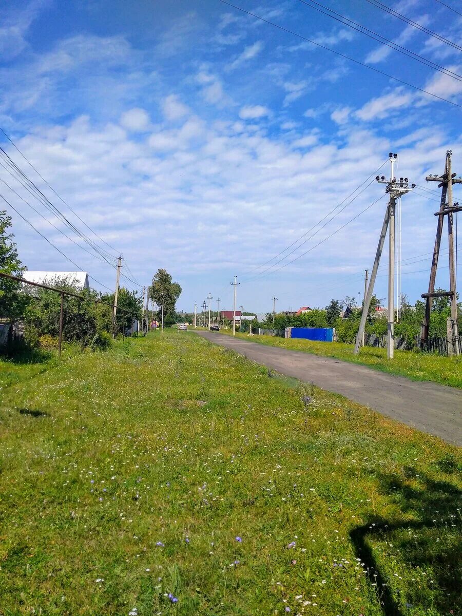 Село Никольское Ульяновская область. Никольское на Черемшане Ульяновская область. Село Никольское на Черемшане. Никольск на Черемшане Ульяновская область. Никольское на черемшане ульяновская погода