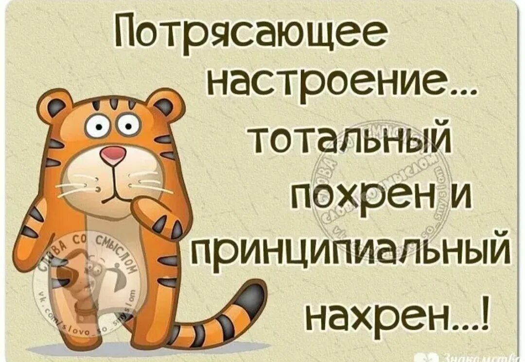 Может ли быть настроение. Картинки для настроения. про настроение с юмором. плохое настроение картинки. плохое настроение картинки прикольные.