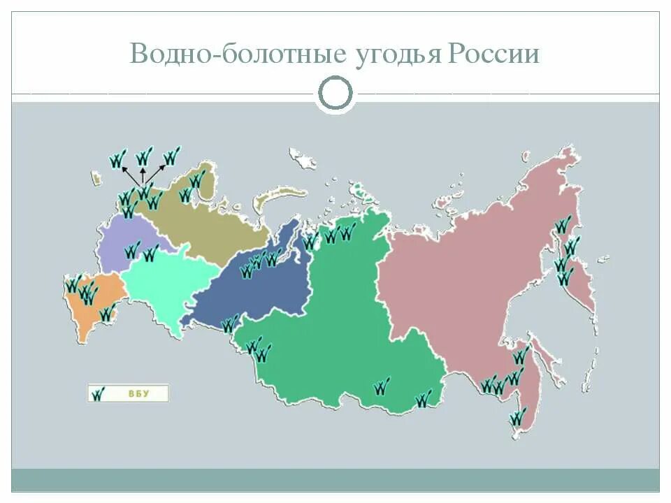 Карта болотистых. Водно-болотные угодья России карта. Болота России на карте. Водноболотние угодя Росии. Карта России с болотами.