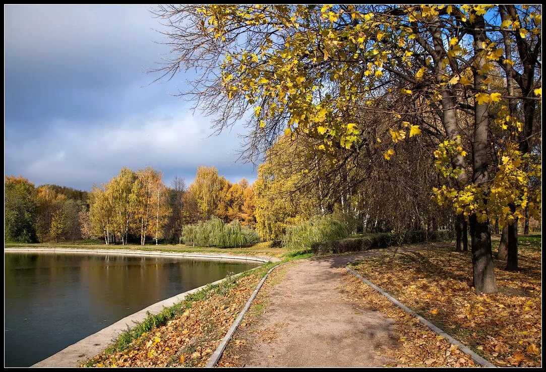 Парк Дружба осень. Пейзаж городского парка. Шебекино осень. Городской пейзаж парк.