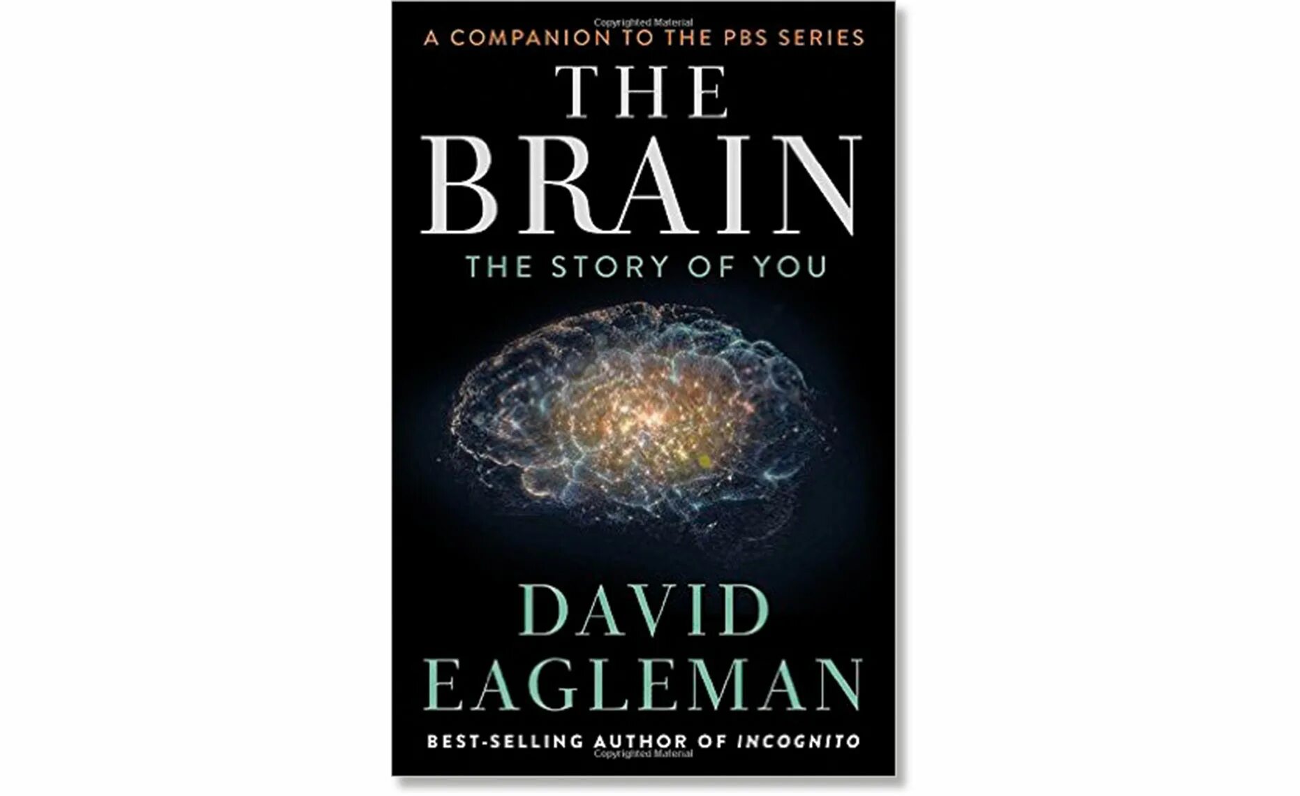 Мозг книга дэвид. Дэвид Иглмен мозг. Brain book. Дэвид Иглмен книги. Книга the Brain.