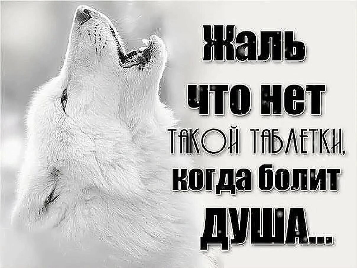 Плохо что нет тебя. Душа болит цитаты. так больно на душе. мне очень плохо душа болит. статусы про боль в душе.