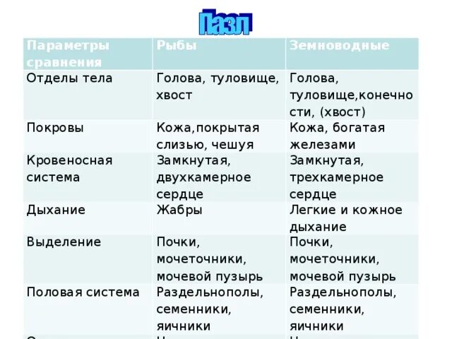 Черты сходства строения земноводных и рыб