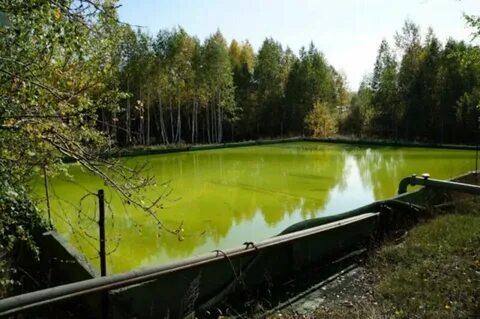 Хромпик первоуральск