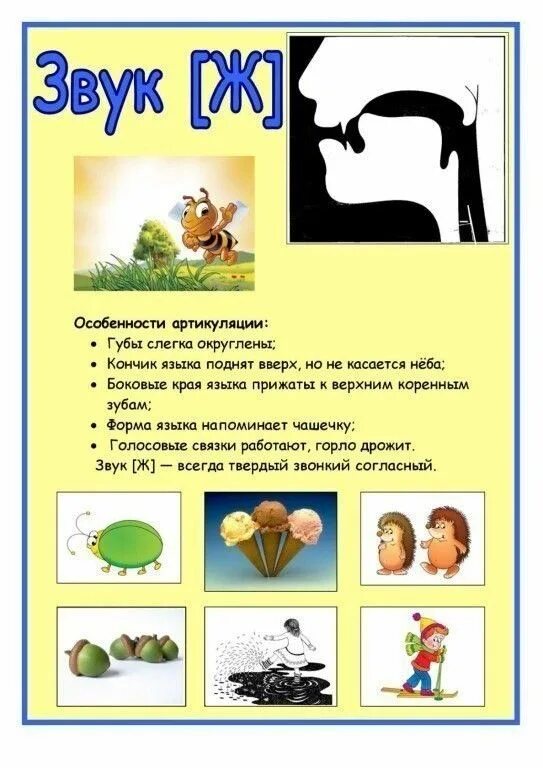 Артикуляция звука в для детей. Артикуляция звука ж для дошкольников. Правильная артикуляция звука ж для детей. Правильная артикуляция звуков ш ж. Логопедические профили артикуляции звука.