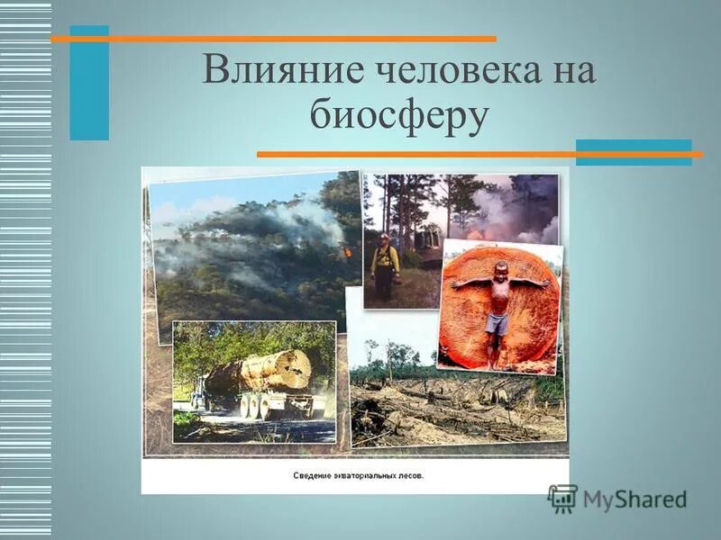 Какое влияние оказывает человек на биосферу. Влияние человека на биосыер. Влияние человека на биос. Влияние биосферы на человека и человека на биосферу. Влияние человека на биосферу презентация.