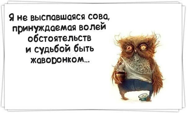 дима филин. сова не выспалась. невыспавшаяся сова. ты высыпаешься куда высыпаюсь. сова с кофе.